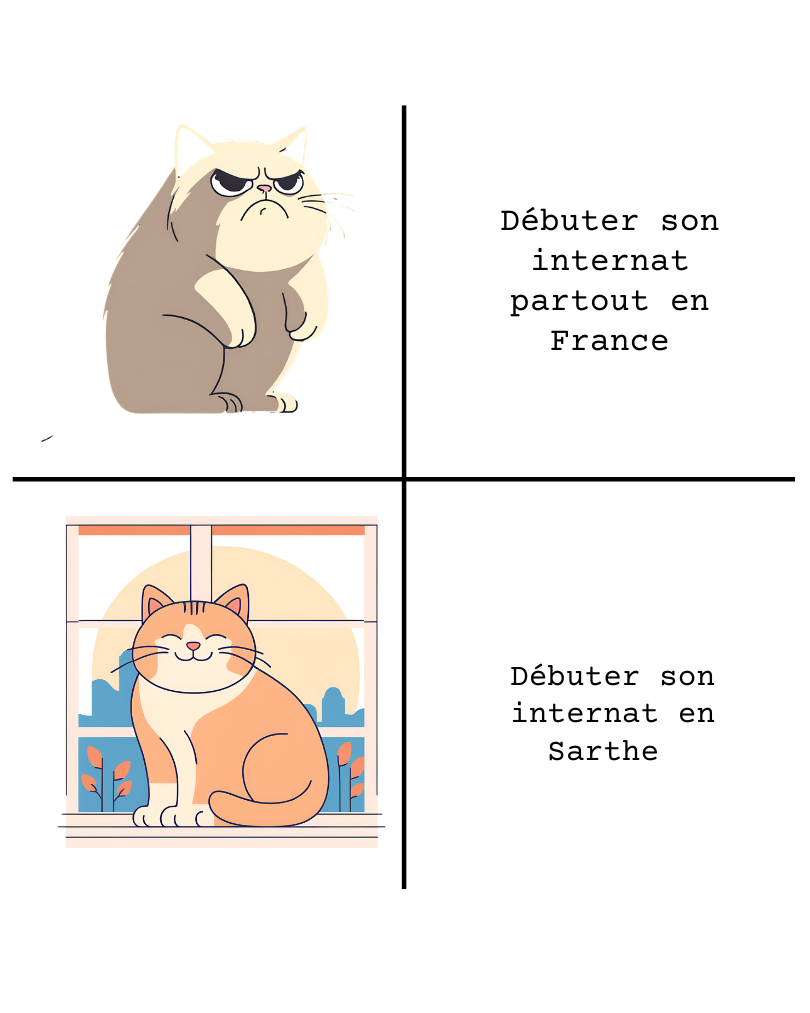débuter son internat en Sarthe